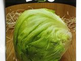 Iceberk (Göbek ) Marul Tohumu 