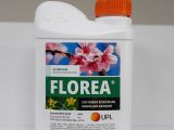 Florea 1lt 