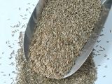 Çim Tohumu 1 kg