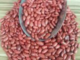 Panter ( Sırık) Fasulye Tohumu 1 kg