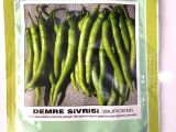 Bursa Demre Sivri Biber Tohumu 