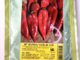 Bursa Yağlık Kırmızı Biber Tohumu 