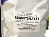 Raınsıstoflay F1 Ispanak Tohumu 