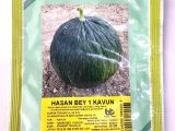 Bursa Hasan Bey 1 Kavun Tohumu 