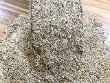 Yedikule Marul Tohumu 1 KG 