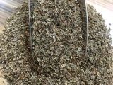 Dere Otu Tohumu 1 KG 