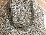Kıvırcık Marul Tohumu 1KG 