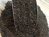 Fasella Arıotu Tohumu 1KG 