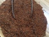 Tere Tohumu 1 KG