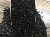 Yeşil Reyhan Tohumu 1 KG 