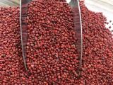 Fındık Turp Tohumu 1KG